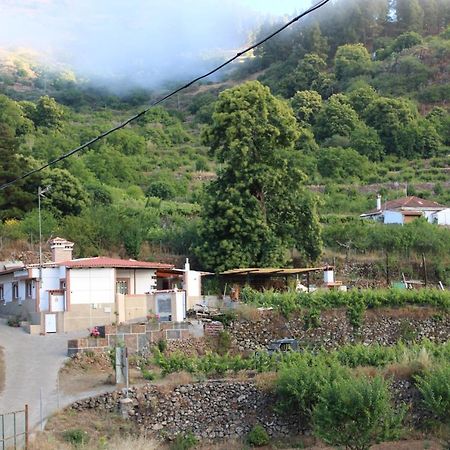 ラスパルマス・デ・グランカナリア Finca El Coleヴィラ エクステリア 写真
